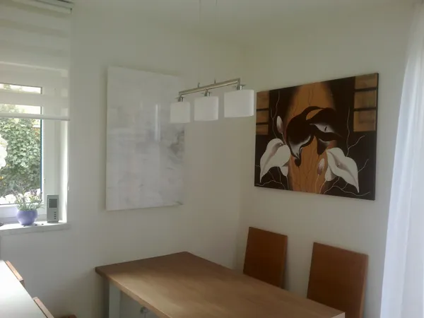 Topení v kuchyni, Rokycany